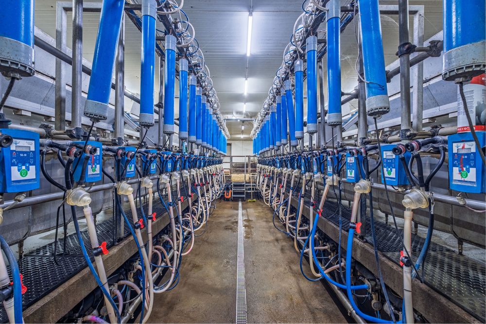 Фастівський р-н; Продаж агро бізнесу повного циклу. від власника