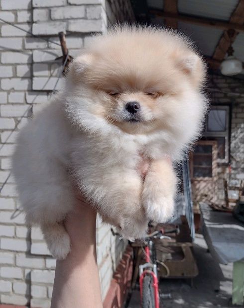 хлопчик та дівчинка !