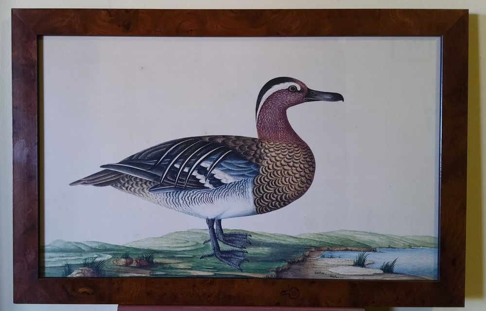 2 Quadros com patos429128029150259201