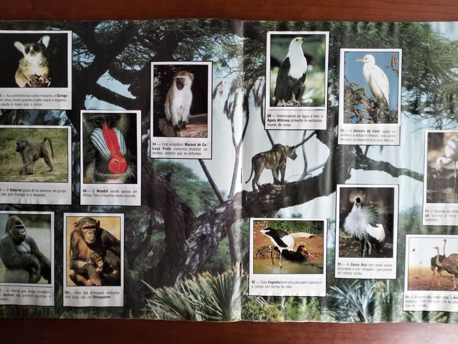 Caderneta Animals of the World' Panini