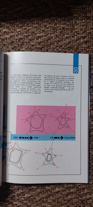 O Surfactante Pulmonar