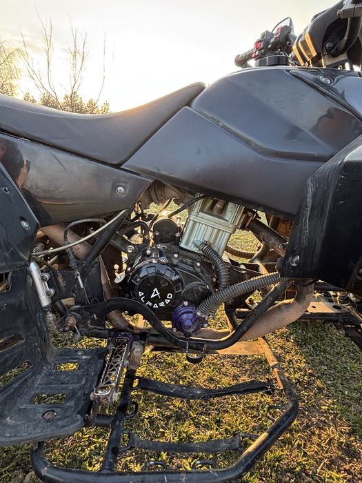 Cobra alfarad 250 (bashan)