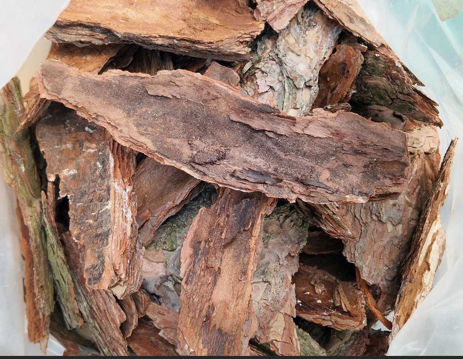 kora sosnowa pakowana w worki 80 litrów