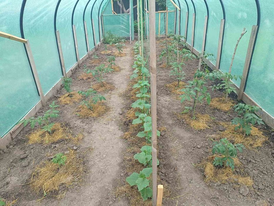 Армированная пленка для теплиц.
Армована плівка для теплиць