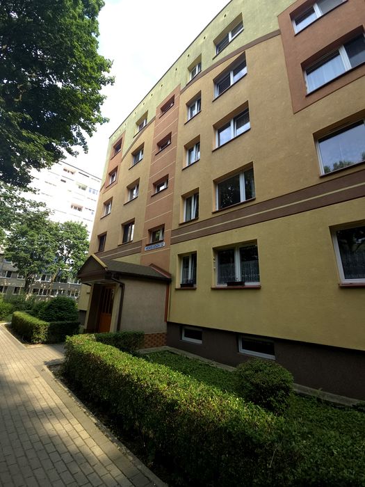 Zdjęcie 8