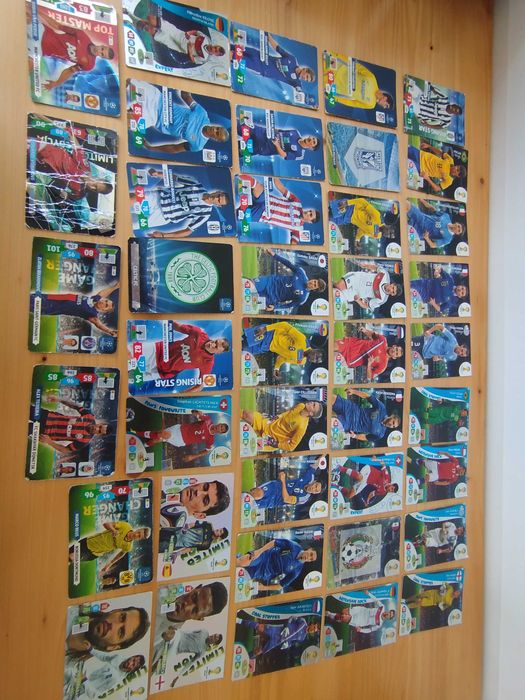 karty panini 2013-2014 (top master, LM, exepert, inne) - 41 kart