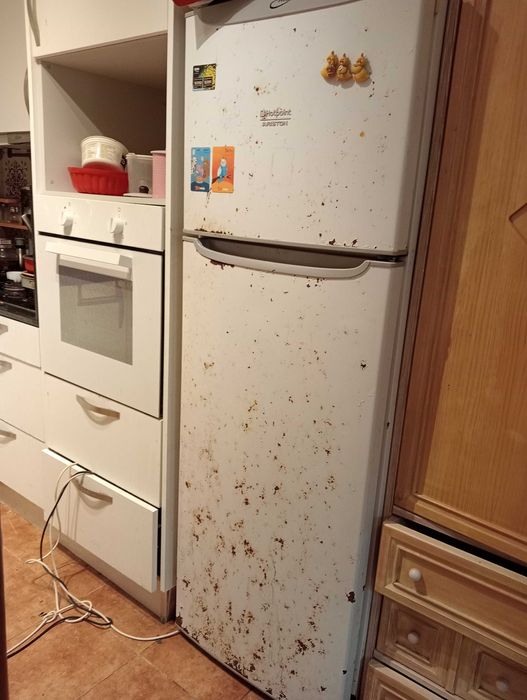 Frigorífico Hotpoint para peças(funciona bem e sem qualquer problema)