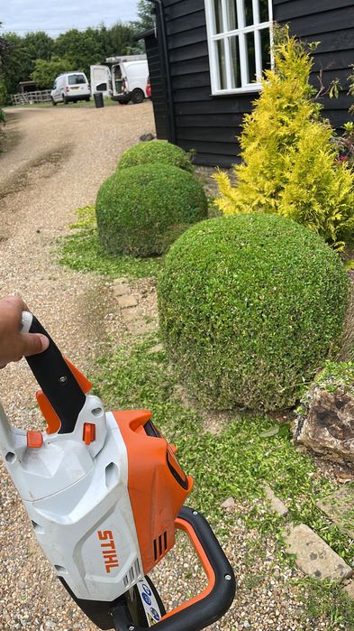 Serviços de Jardinagem - Manutenção de Jardins