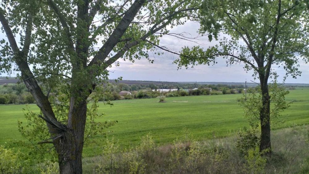 Продам реальний дачний уч-к, Передмістя, Миколаївка(Приват+кадастр)