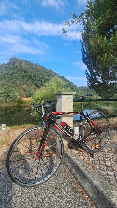 Specialized Roubaix Tam54