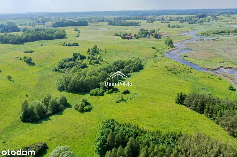 Działka z warunkami zabudowy - 7,28 ha - Świętajno - Więcej