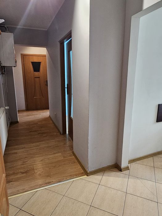 Mieszkanie do wynajęcia