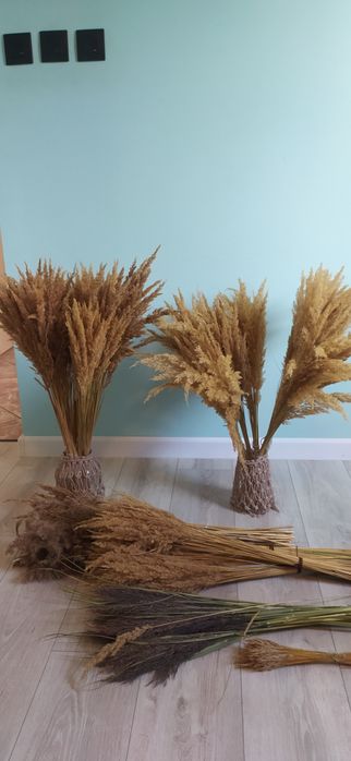 Trawa ozdobna naturalna Boho bukiet 30 sztuk 70 cm