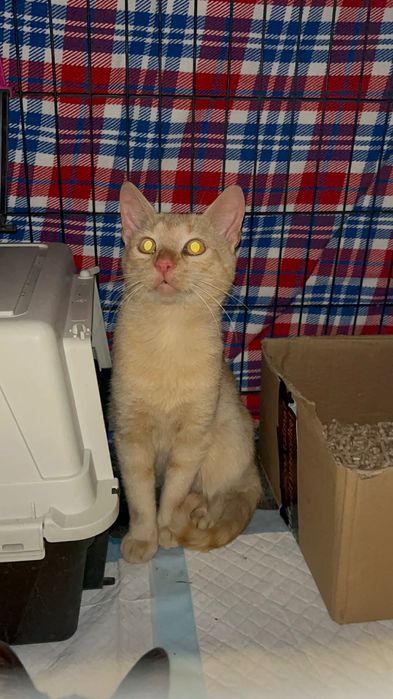 Błagam Cię o dom, człowieku