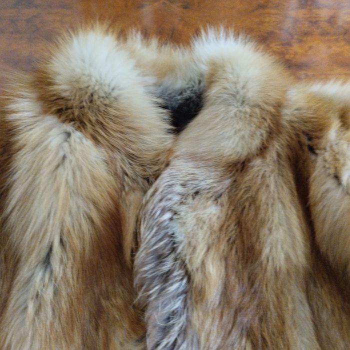 Casaco de raposa do Canadá