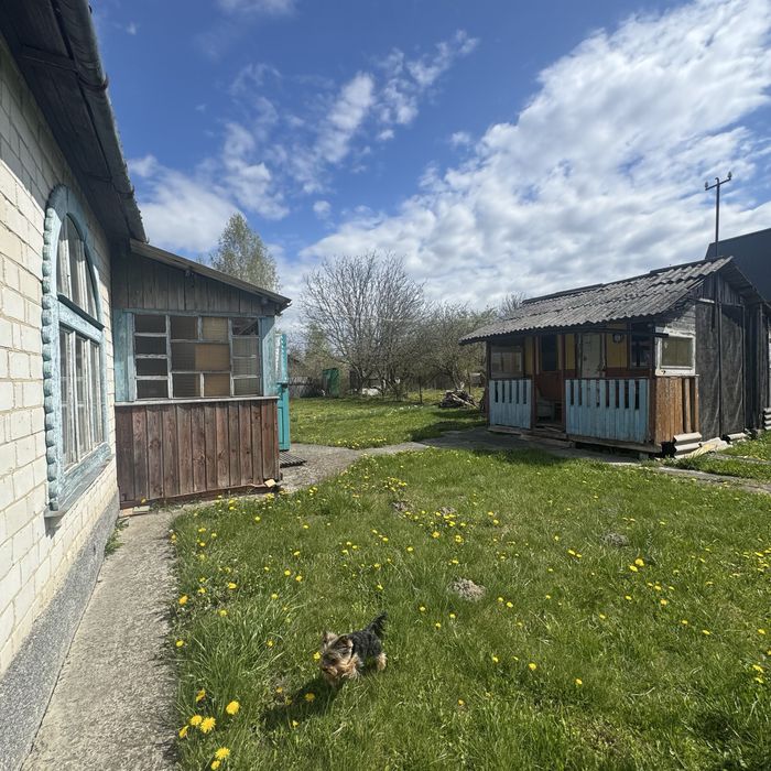 Дача Камяна Гора