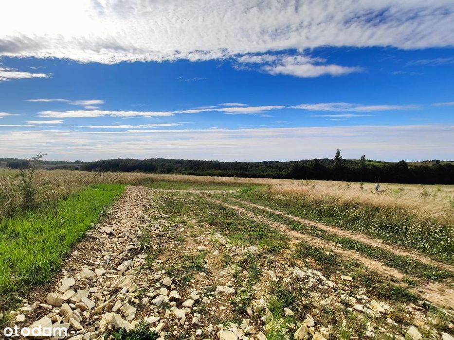 Działki budowlane 1050 m² z pięknym widokiem na Jurze Zawada gm. Mstów - Widok 4