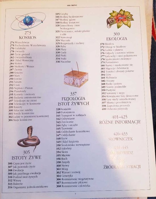 Popularna Encyklopedia NAUKI Wiedza i Życie
