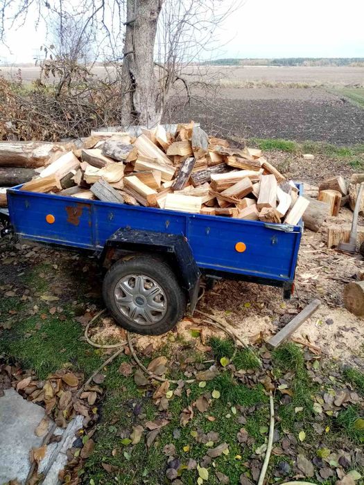 Продам дрова.         Колотые.