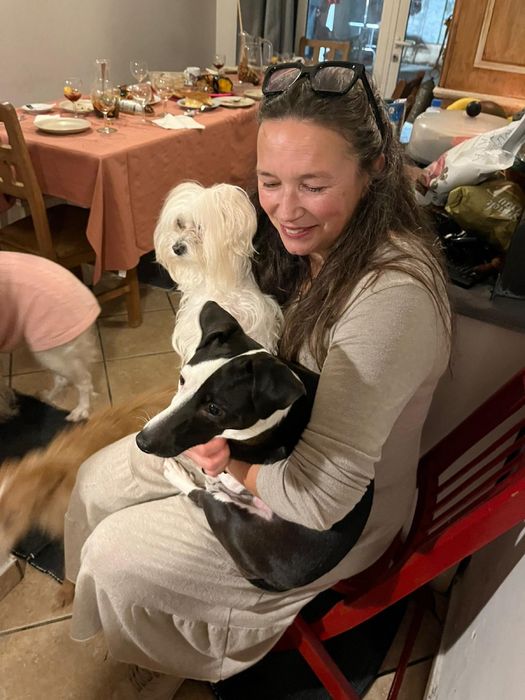 Estadias em Hotel Familiar para Cães