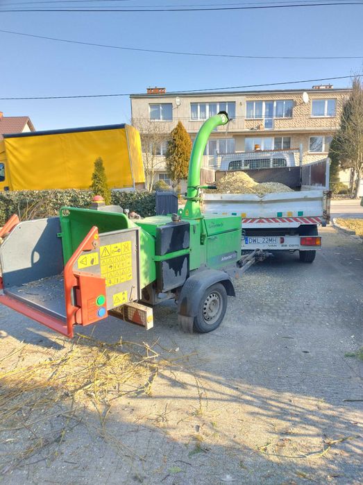 Wycinka Drzew z Wywozem Gałęzi