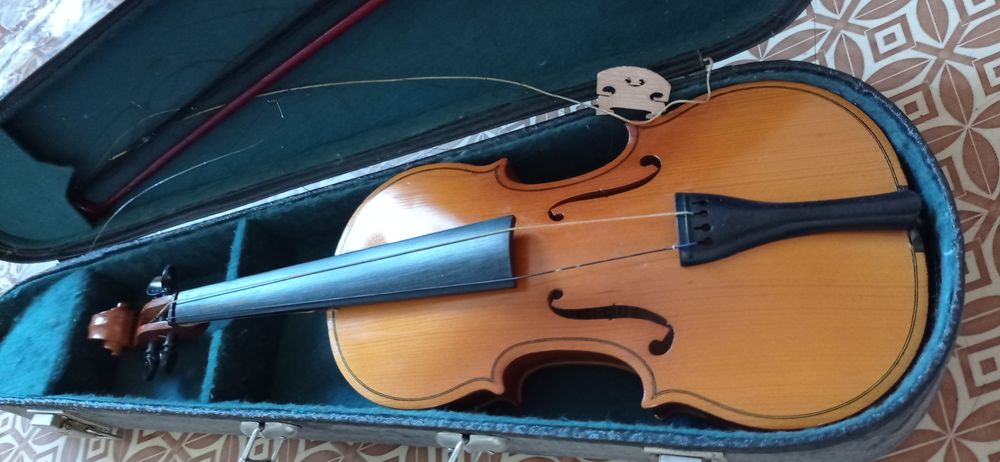 Скрипка у футлярі
