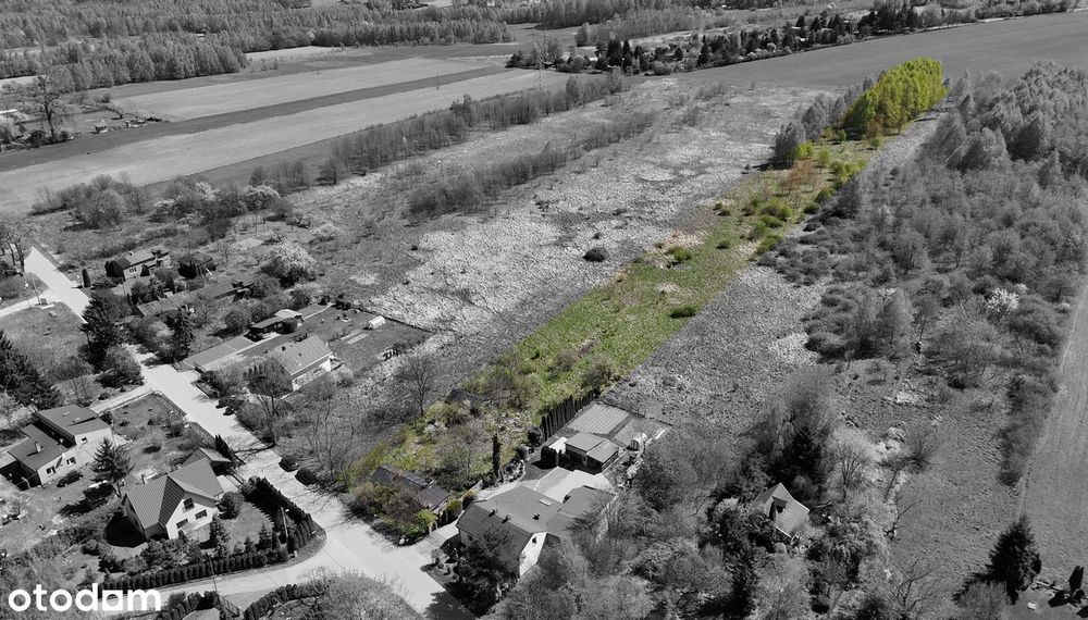 8 279 m² w zielonej okolicy :) - Widok 2