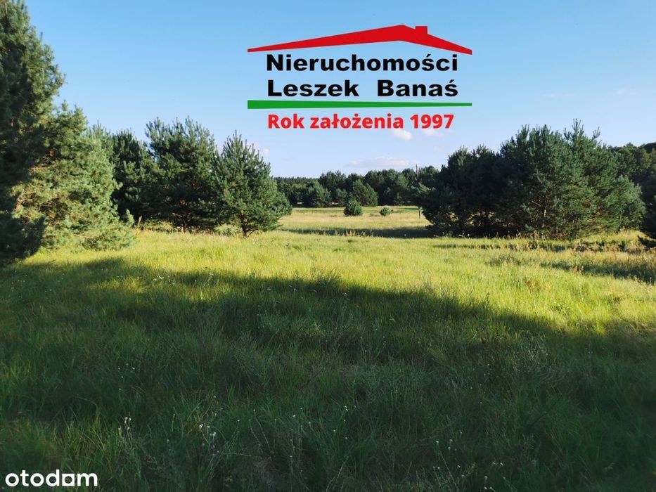 Działka granicząca z lasem - Widok 5