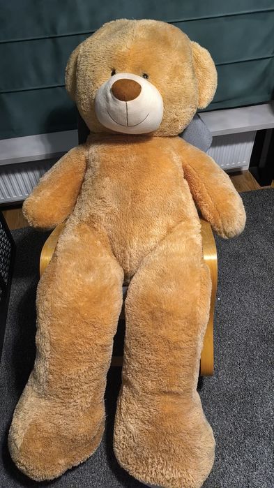 Miś pluszowy 200 cm
