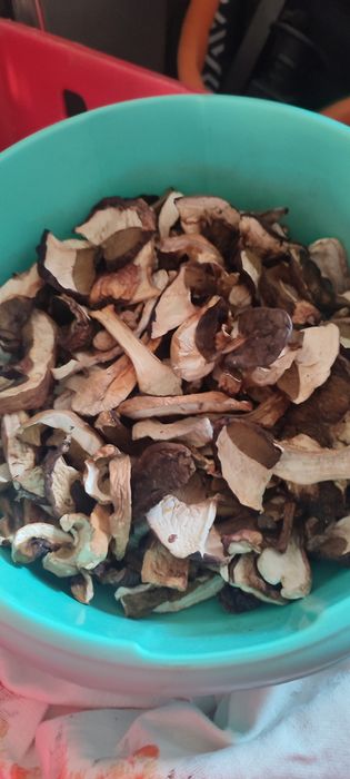 GRZYBY suszone MIX cena za 100 gram możliwa wysyłka!!