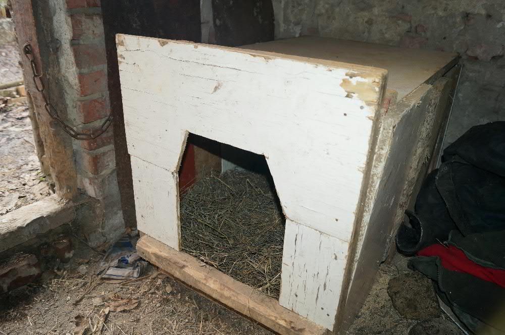 Будка для собаки