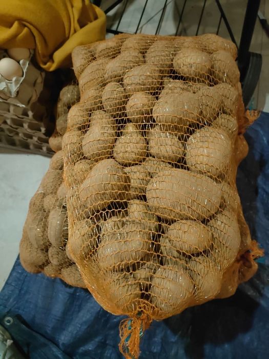 Ziemniaki worek 15 kg