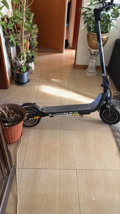 Trotineta  75 euros