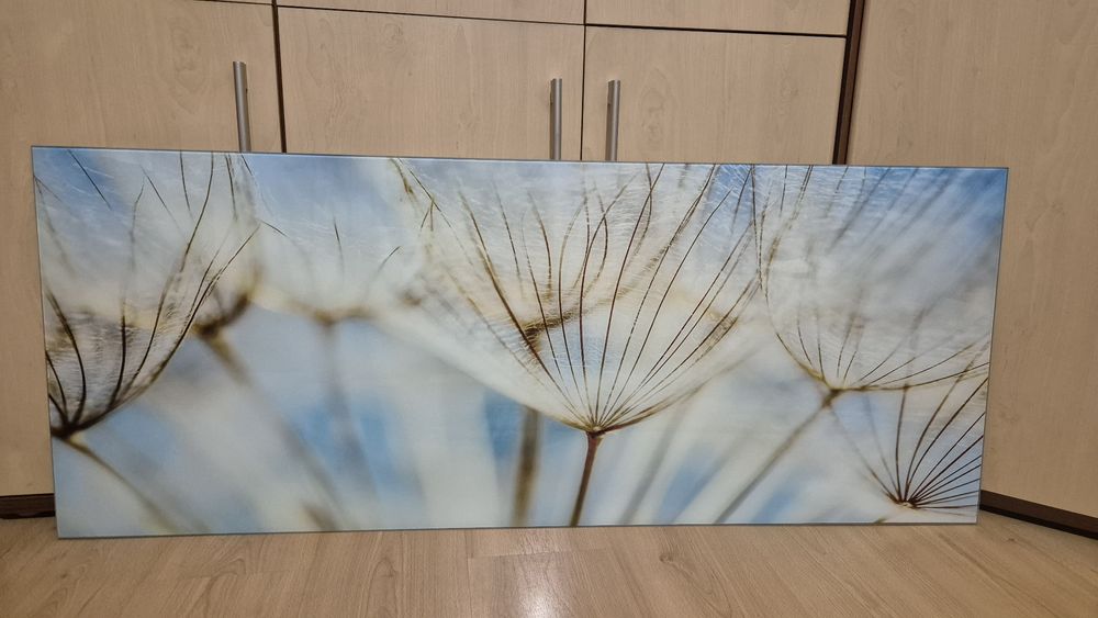 Obraz dmuchawce Glaspik szklany 125 x 50