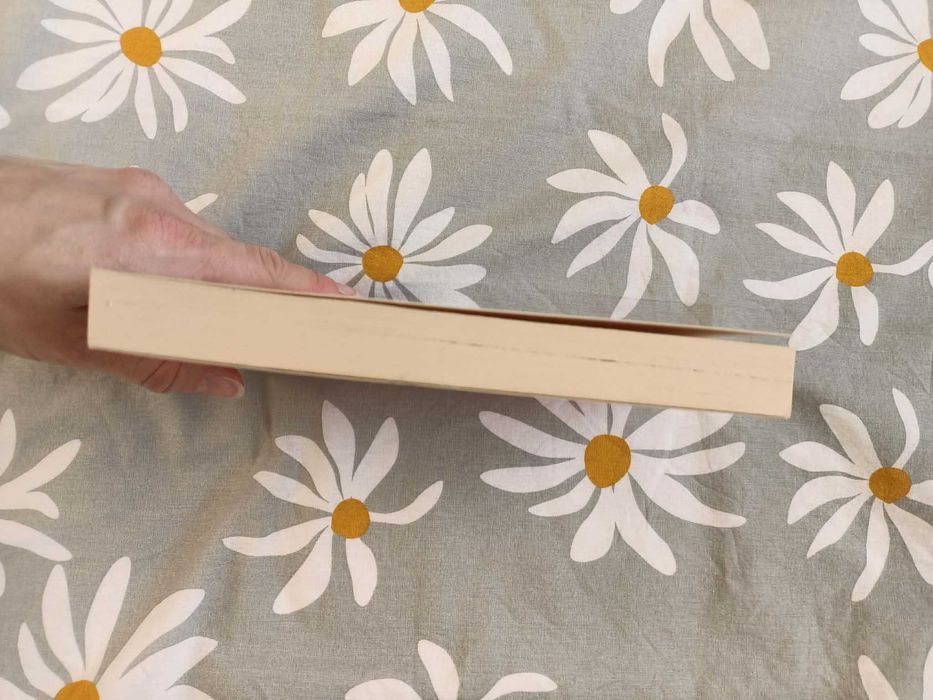 Romans historyczny Księżycowa dama Meagan McKinney