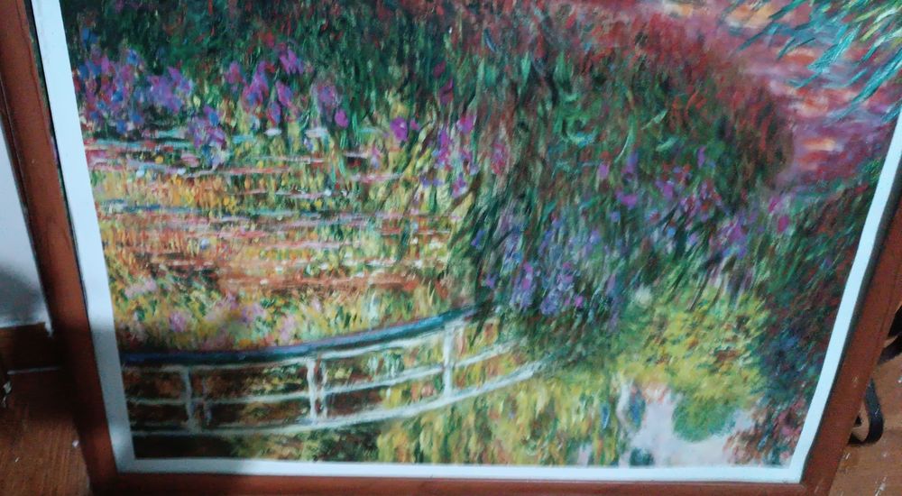 Vendo vários quadros