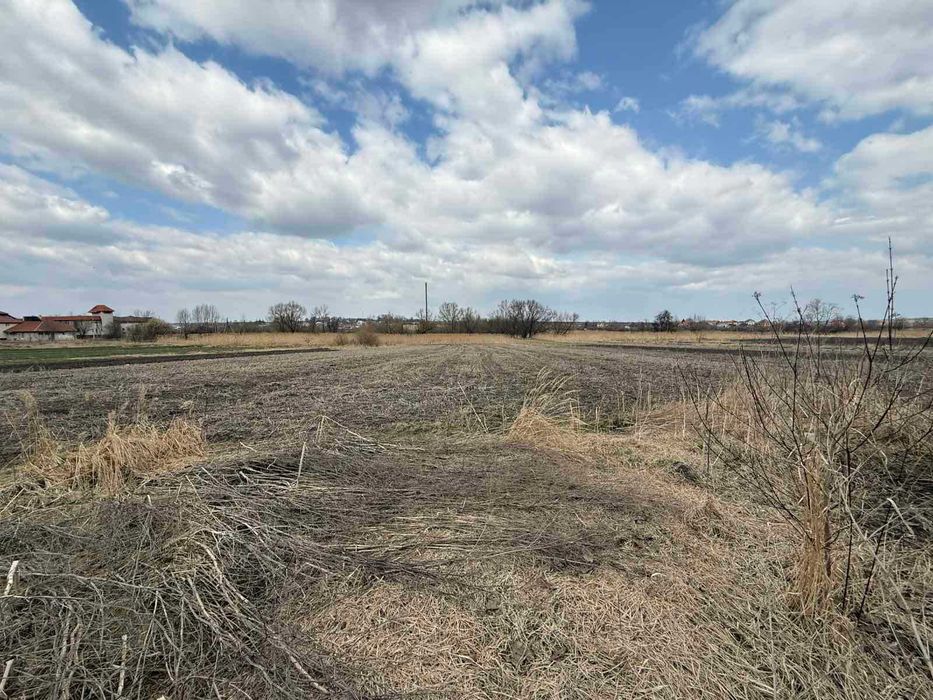 Продаж земельної ділянки під забудову в селі Звенигород з комунікаціями та старим будинком