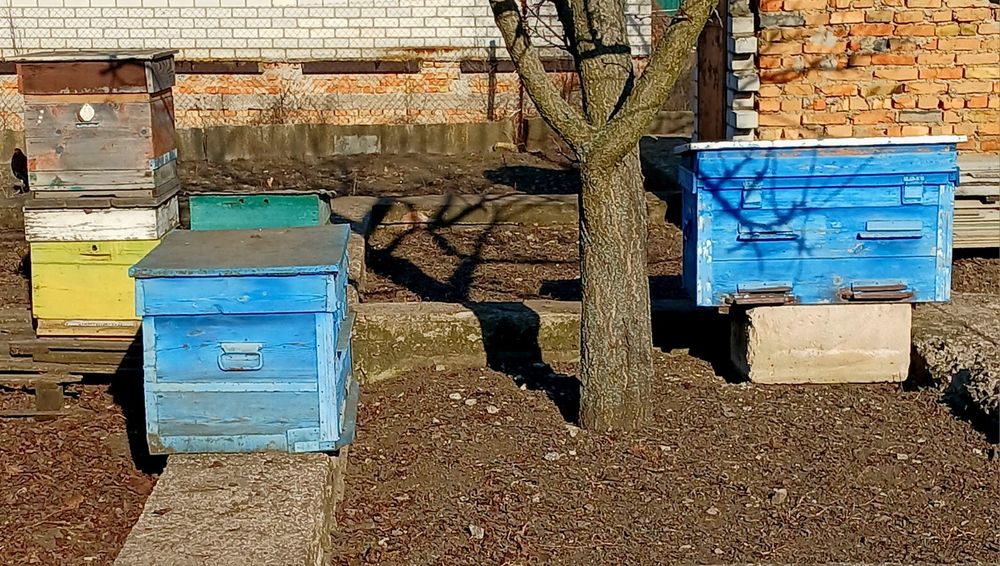 Медогонка, вулики, інвентар