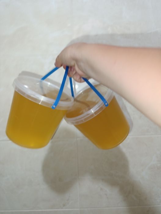 Продається весняний мед