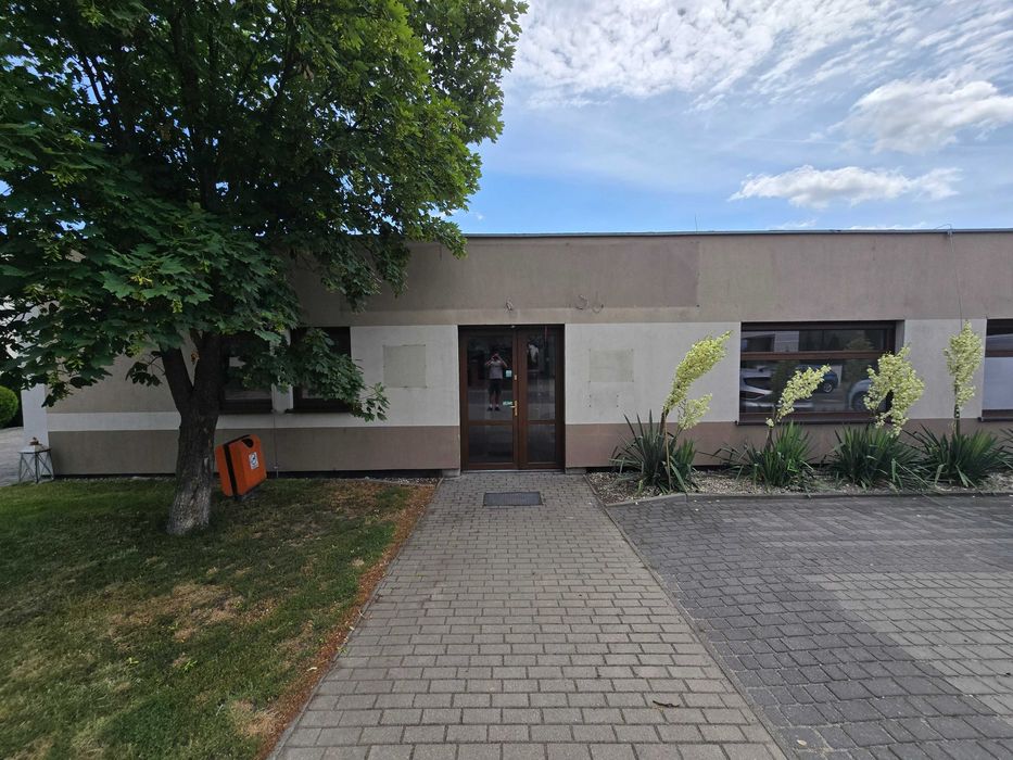 lokal użytkowy na wynajem
