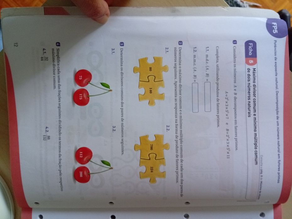 Caderno de fichas matemática 6 ano