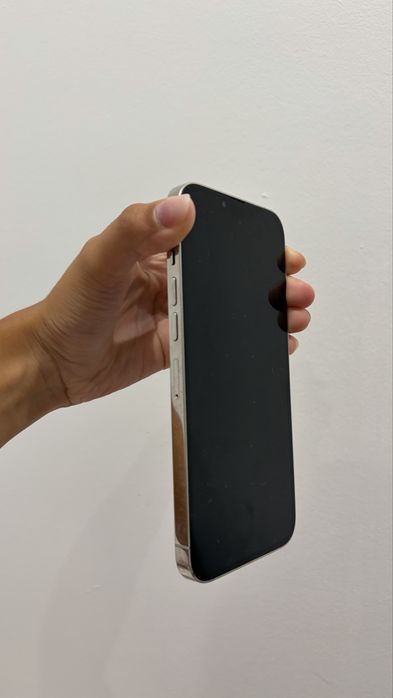 iphone 13 pro max 256 gb