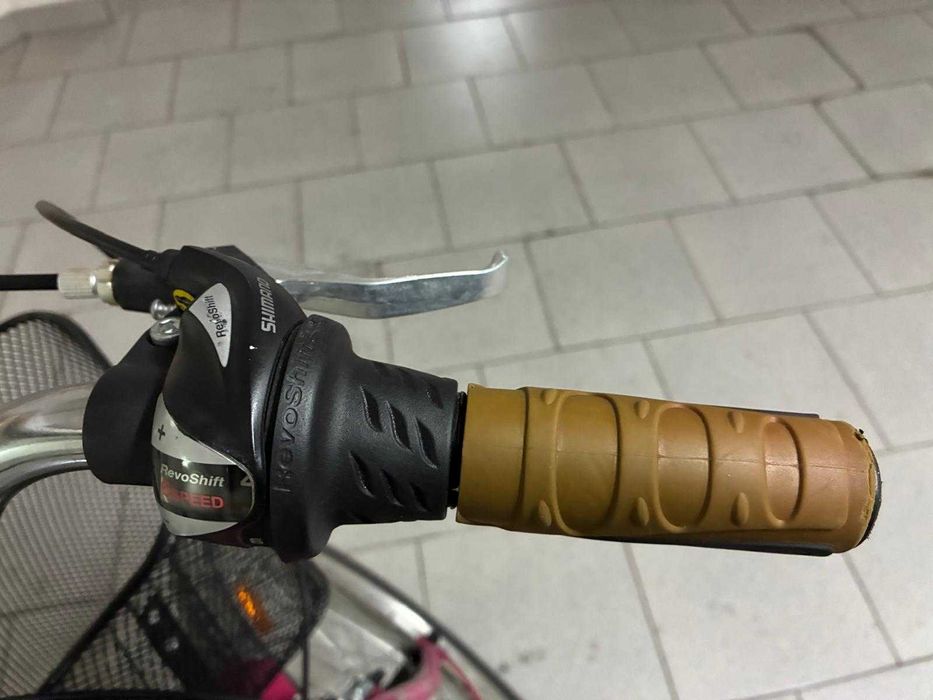 Bicicleta pasteleira