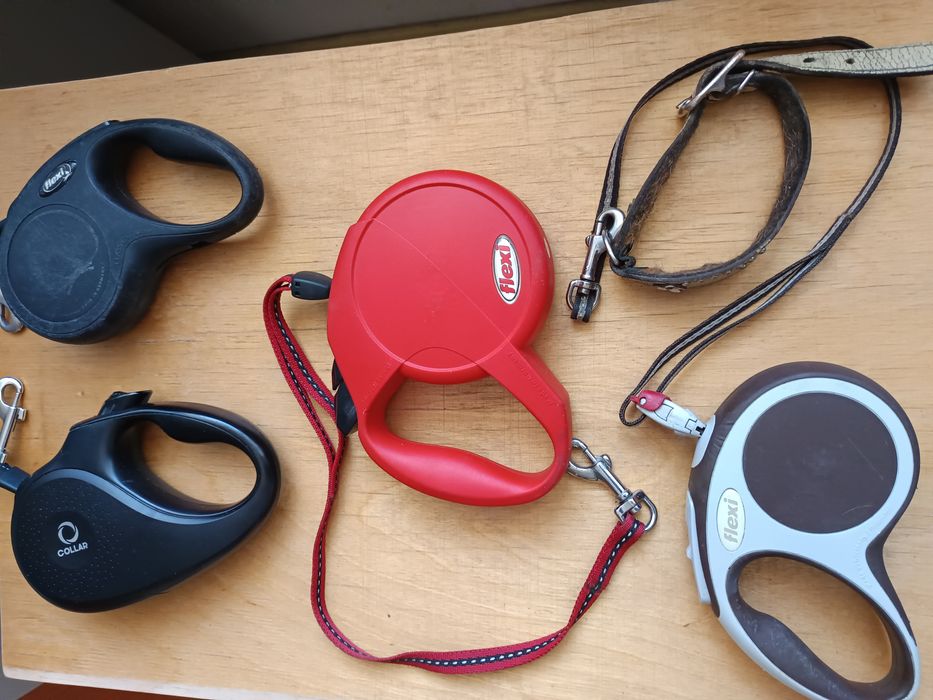 Поводок -  рулетка для собак