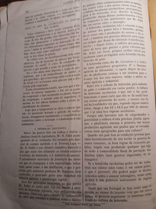 Gazeta dos Lavradores, Maio de 1883