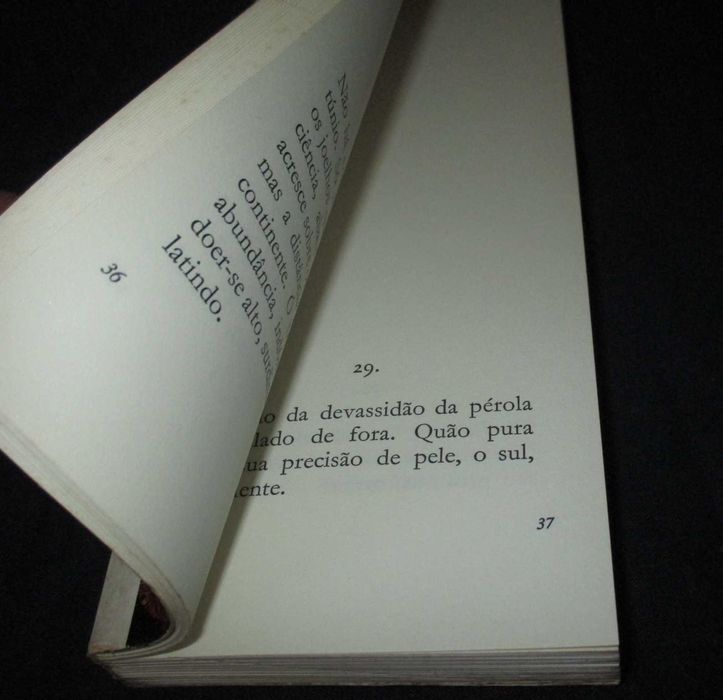 Livro Da Rosa Fixa Maria Velho da Costa 1ª edição Moraes