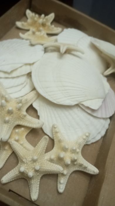 Estrelas e conchas artesanais