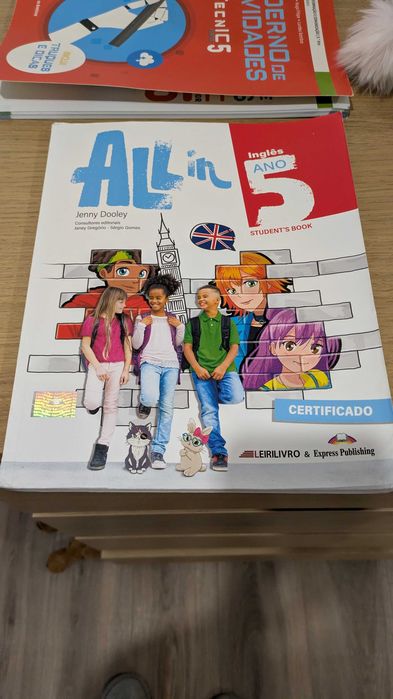 Manuais escolares do 5 ano