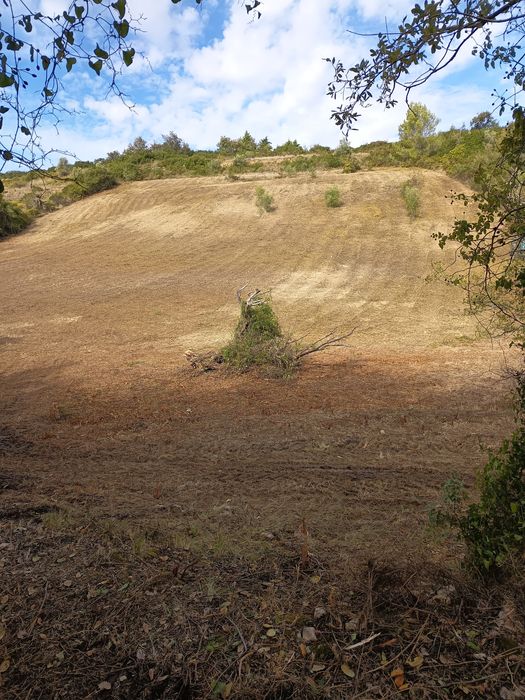 Vendo terreno em arruda dos vinhos