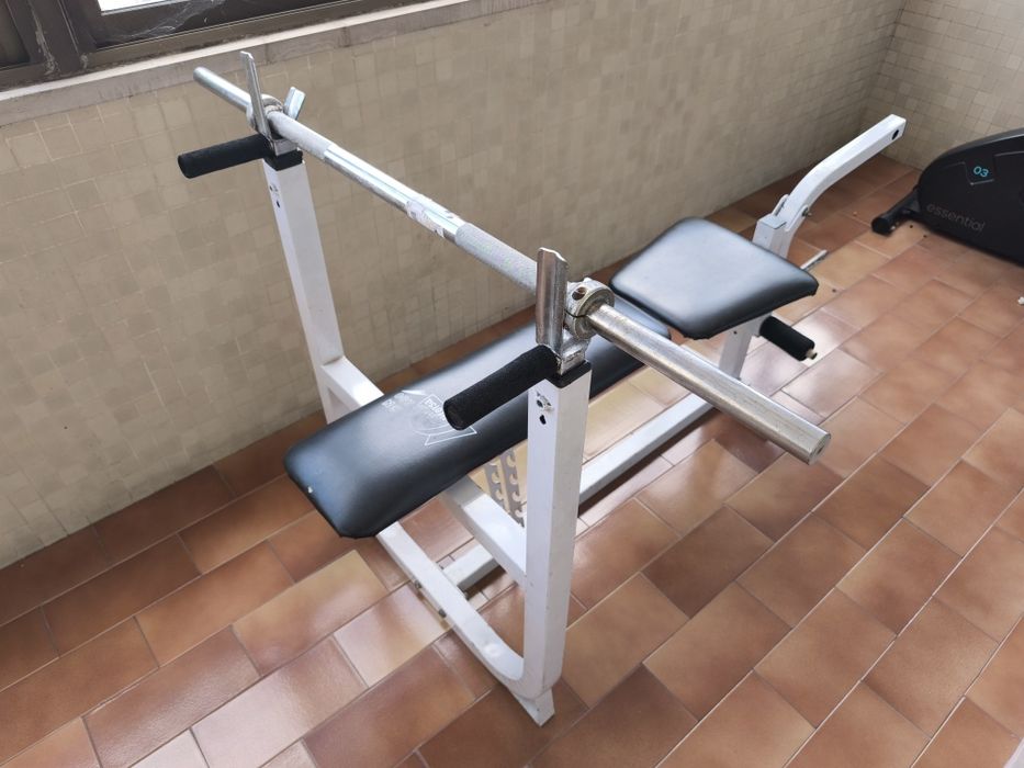 Weight Training Bench with Weights and Bars466064744939540484